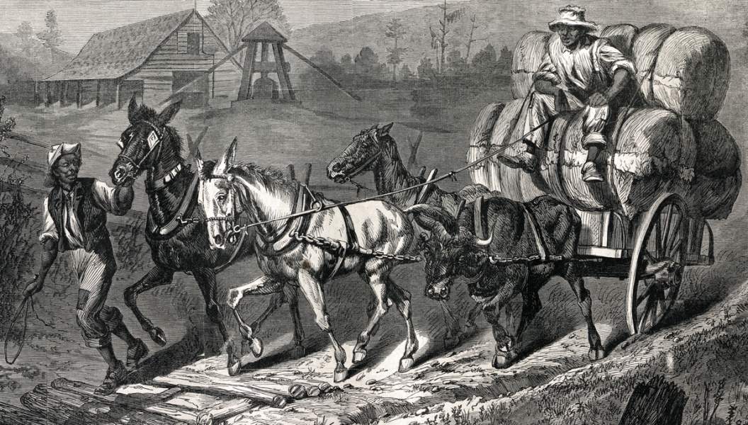 Edwin Forbes, "Cotton Team in North Carolina," Harper's Weekly, April 1866, detail