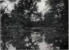 Bull Run Creek, Manassas, Virginia, Morning of July 21, 1861
