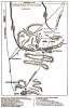 Battle of Pea Ridge, Arkansas, 1862, battle map