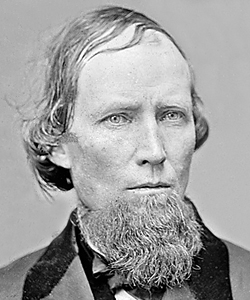 johnston 1864 dickinson housedivided