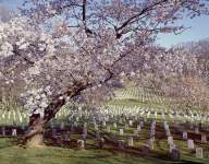 Arlington National Cemetery, Arlington, Virginia, circa 1990