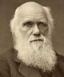 Charles Darwin, photograph