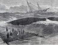 Sinking of the "Titania," October 16, 1865, artist's impression, detail