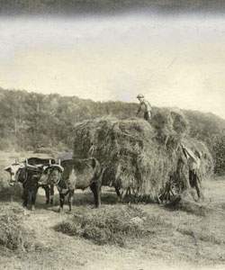 Farming and Agriculture, iconic image