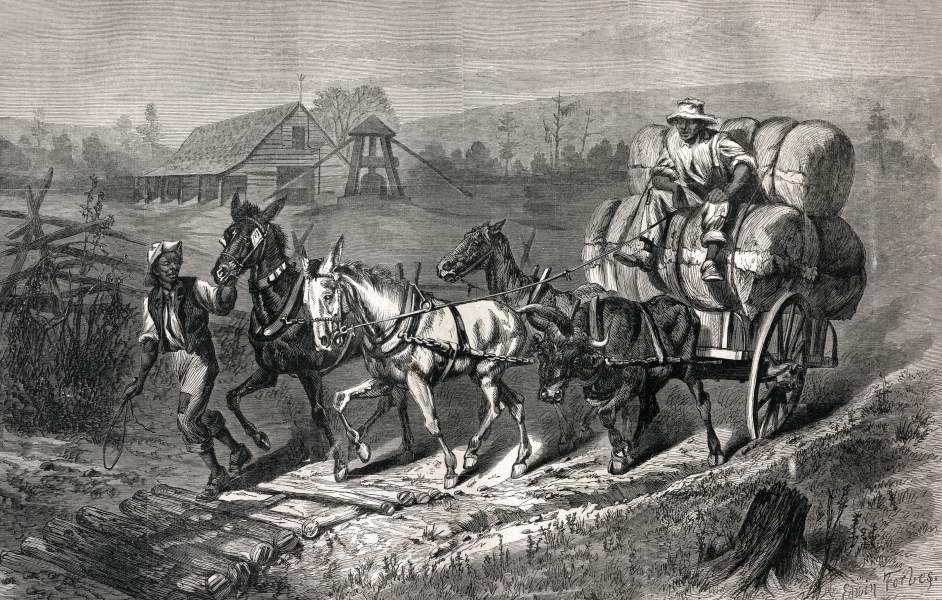 Edwin Forbes, "Cotton Team in North Carolina," Harper's Weekly, April 1866, zoomable image