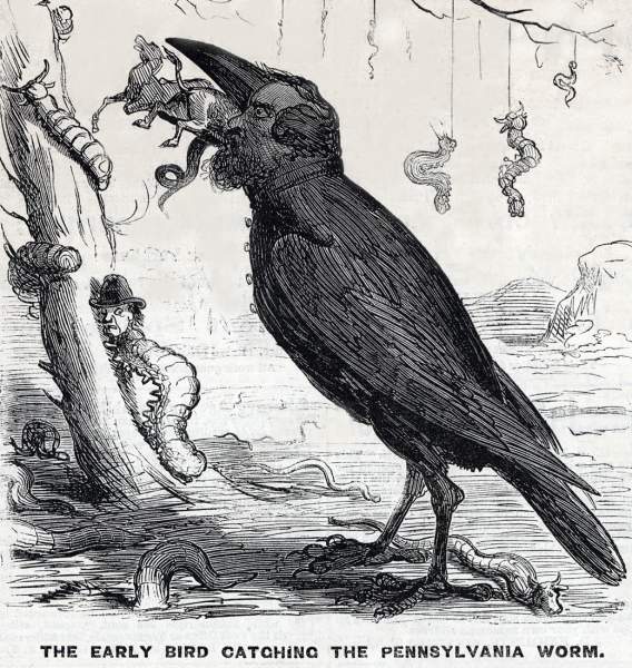 "The Early Bird Catching the Pennsylvania Worm," cartoon, Frank Leslie's Illustrated, September 3, 1864