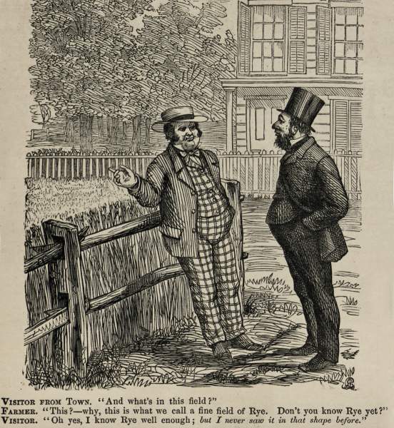 "Rye," cartoon, Harper's Weekly Magazine, May 19, 1866.