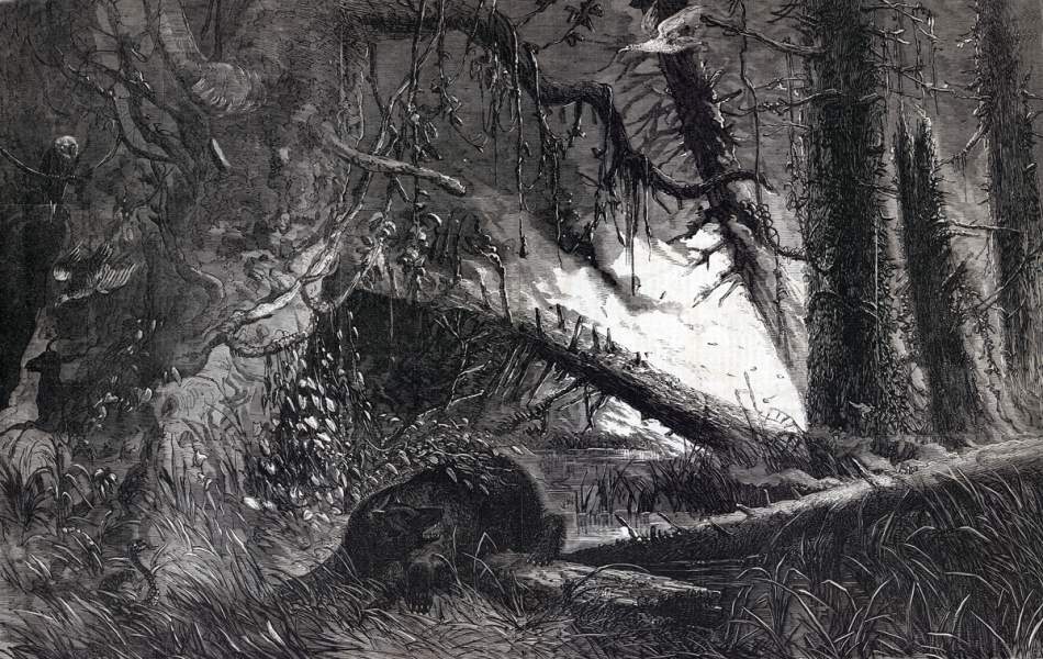 "The Great Fire in the Dismal Swamp," Virginia, 1865, artist's impression