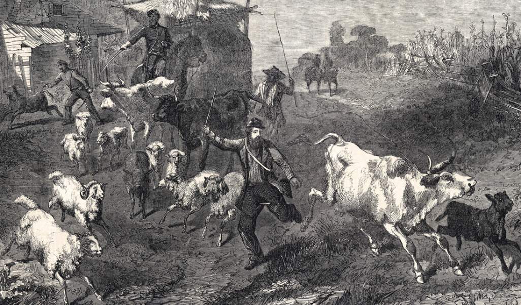 "Foraging in Louisiana," Harper's Weekly, artist's impression, May 1864, detail
