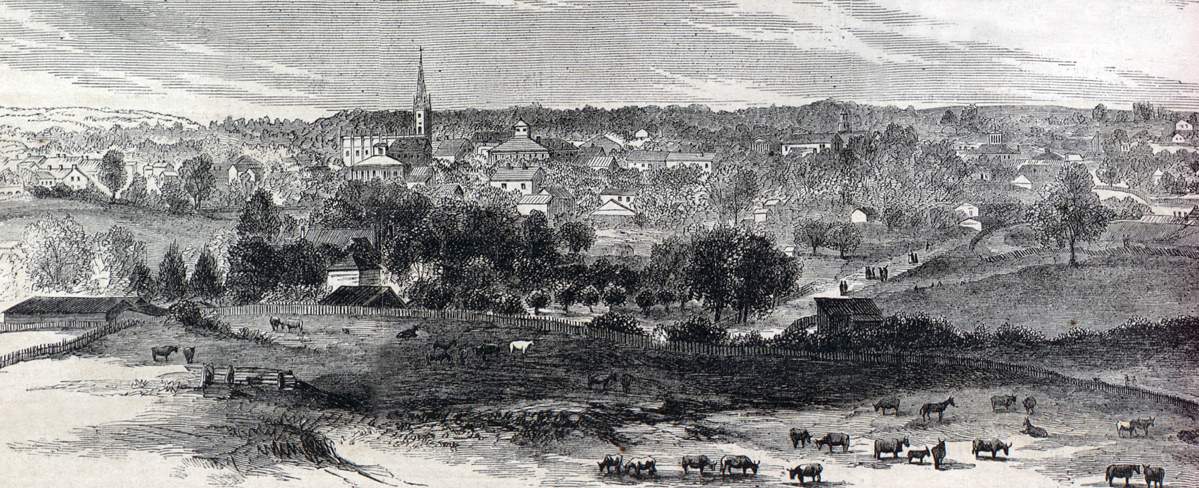 Natchez, Mississippi, July 1866, artist's impression