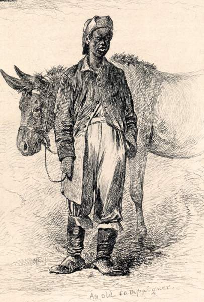 "An Old Campaigner," Edwin Forbes, copper plate etching, 1876