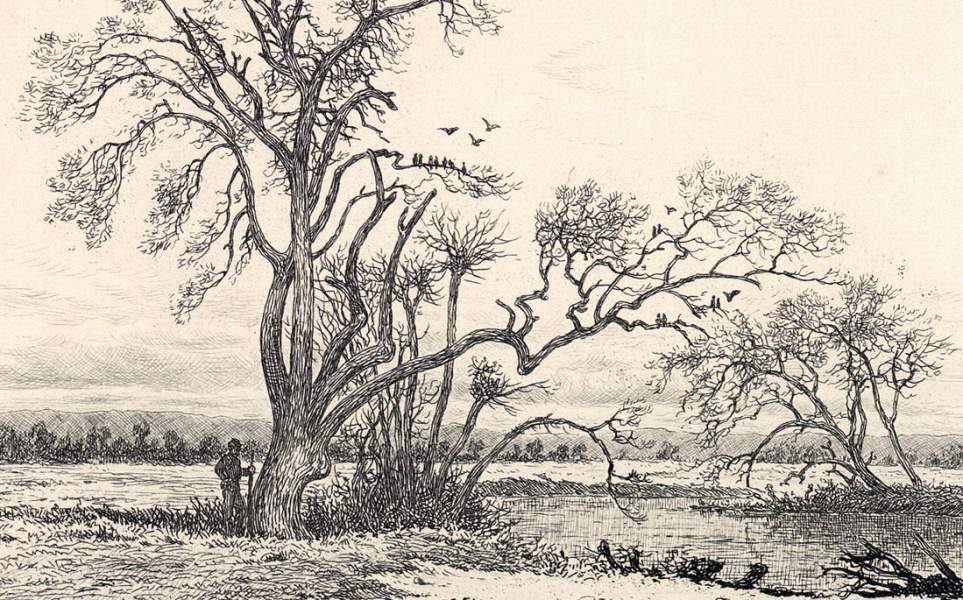"On Picket at the River Bank," Edwin Forbes, copper plate etching, 1876, detail