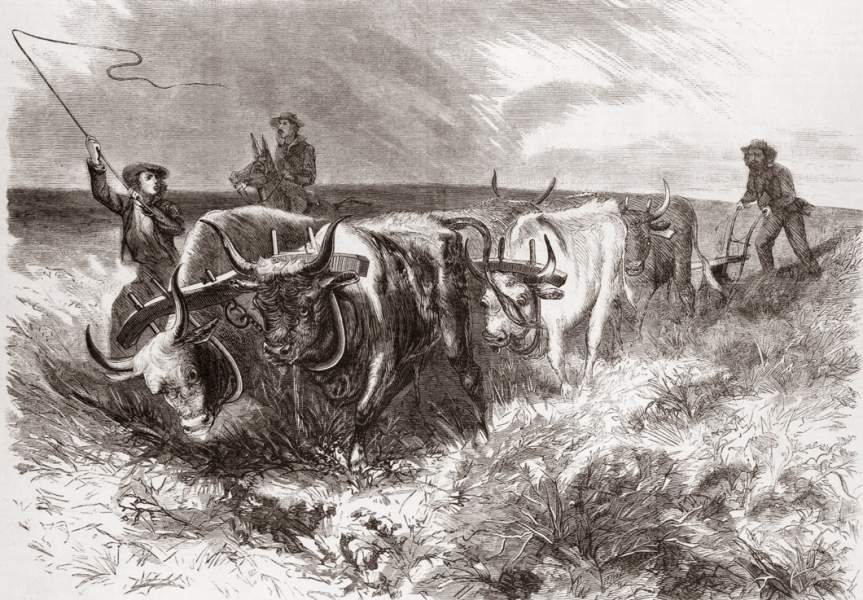 Ploughing on the Prairie, 1868