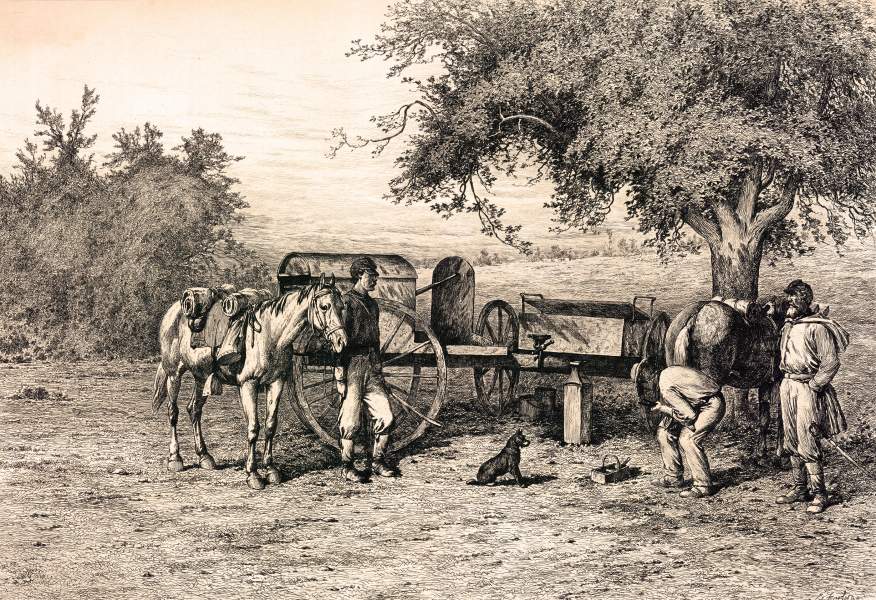 "A Scene on the Roadside near Summer Camp," Edwin Forbes, copper plate etching, 1876, zoomable image