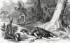 Native American attack on Western settler, Nebraska, August 1864, artist's impression