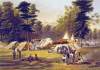 Camp of the Third Kentucky Regiment (Confederate), 1861, Conrad Wise Chapman, artist, zoomable image