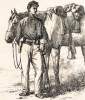 "A Cavalry Orderly Awaiting Orders," Edwin Forbes, copper plate etching, 1876