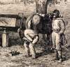 "A Scene on the Roadside near Summer Camp," Edwin Forbes, copper plate etching, 1876, further detail 1.