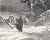 "Snowy Morning on Picket," Harper's Weekly, January 1864, artist's impression, detail