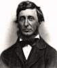 Henry David Thoreau, photograph